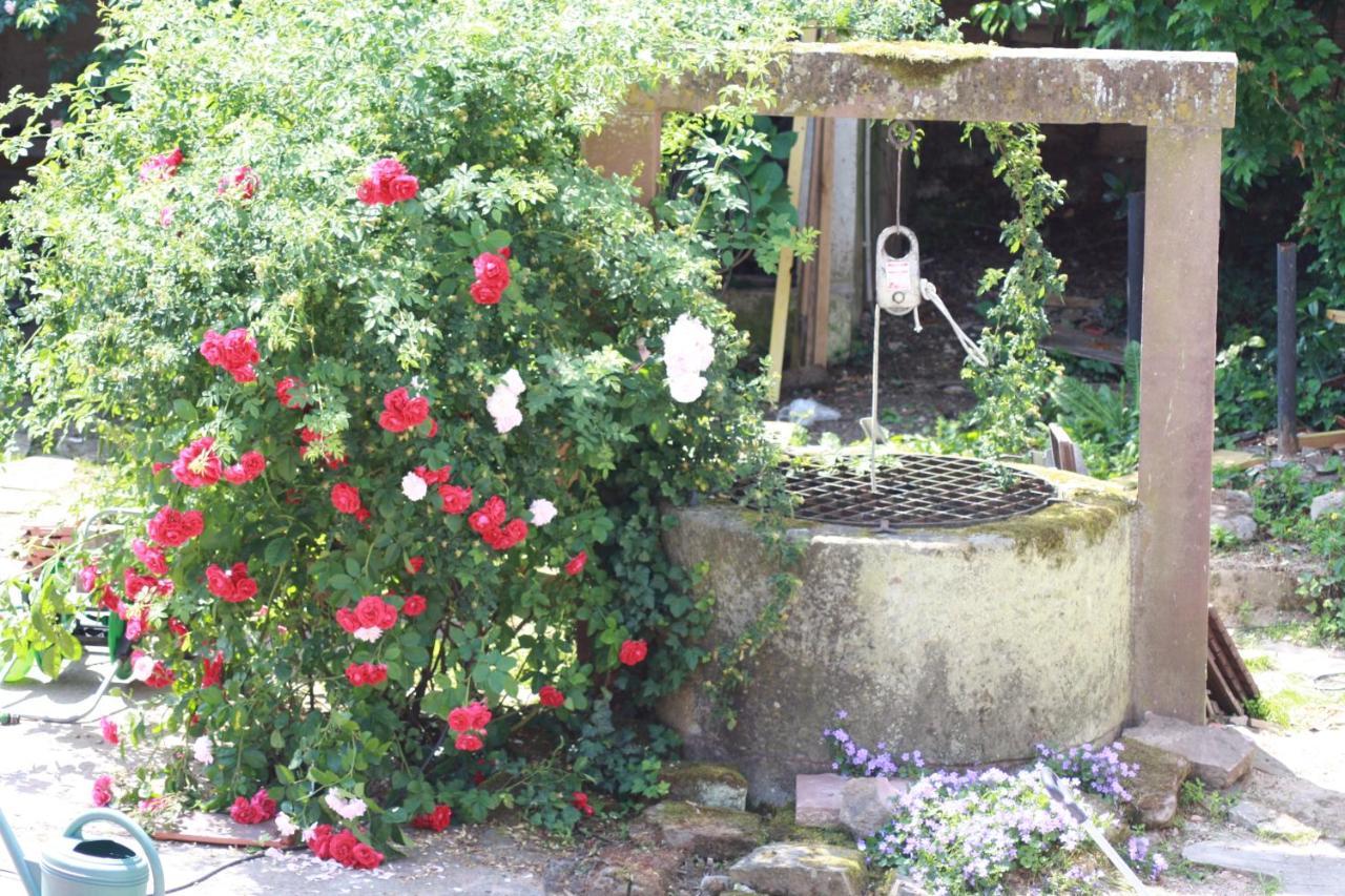 La Grange Aux Coqs Bed & Breakfast Ittenheim Luaran gambar